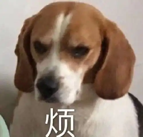  沙雕表情包l找到我的快乐星球了