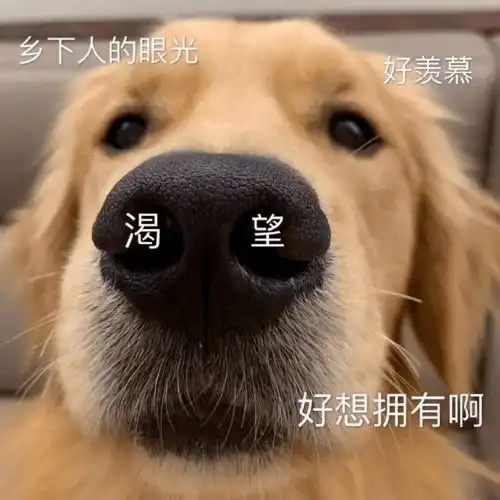  还要抢导师你以为的研究生开学,实际上,就这