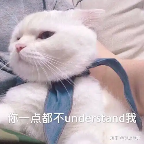  喵赞是真的吗