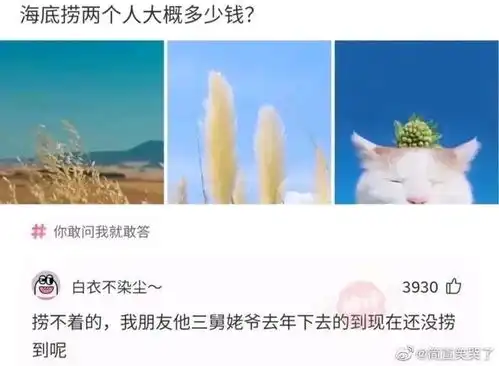  15梗图,沙雕图,memes,地狱笑话,表情包,搞笑图片,搞笑gif动图日更侵删哔哩哔哩