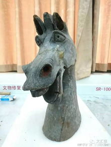  活捉一枚博物馆界的网红完全就是表情包的集装箱太欢乐了