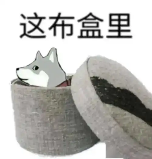 如何找回被纸吸管剥夺的快乐 如何找回被纸吸管剥夺的快乐