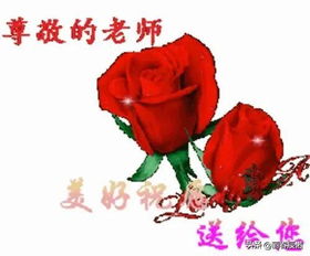  藏头七绝丨歌颂教师新韵
