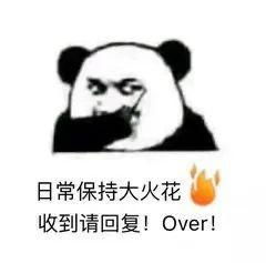 老实人表情包熊猫火花