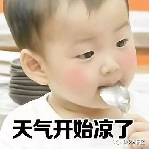  仙女爱吃︳仙女湖的皇家贡品,不屯点怎么过冬