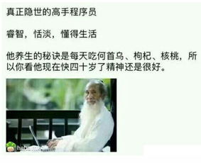  程序员搞笑集网址是什么