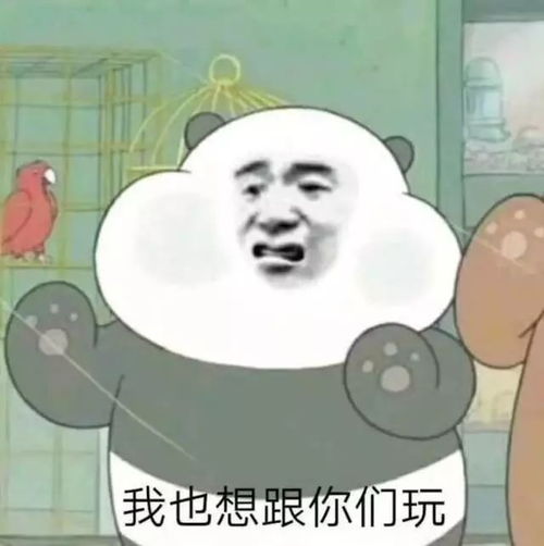  表情包有几个沙雕表情包太好笑了吧