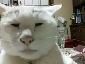 二楼定律天生一对  二楼定律天生一对