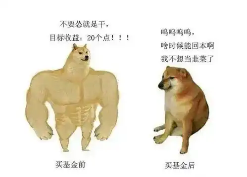  黄金基金的涨跌,和什么有强关系