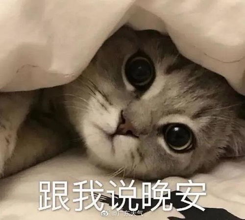  缤纷微天气