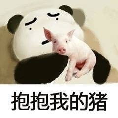  热门无水印斗图表情包