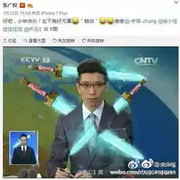  朱广权撒贝宁康辉白岩松,央视段子手你最服谁