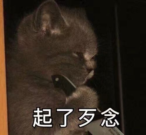 牙疼表情包头像