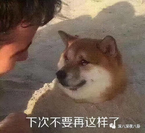  4.4分,整得挺花哨,下次别拍了好吗