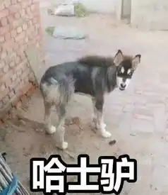  这些哈,因为得罪地球人,竟然被........