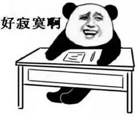  这个夏天,除了好声音我们还能期待什么