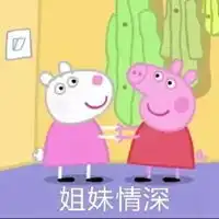  姐妹情深的沙雕表情包