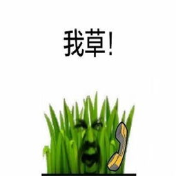  我草我日搞笑表情包组图红红火火恍恍惚惚
