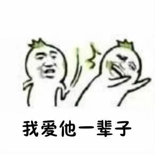  当有人说你爱豆坏话时的你