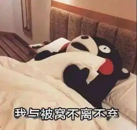  来辩西政生活法庭开庭喽