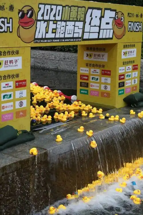  今日1200,小黄鸭水上跑西马开放成绩查询