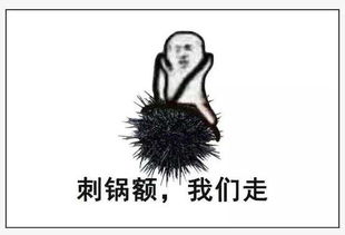 respect什么意思表情包
