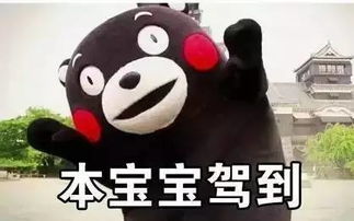 黄胖子拍肚皮表情包沙漠