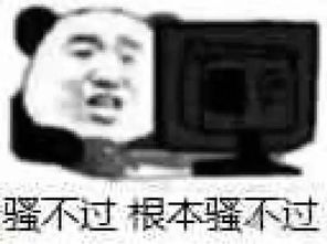  直男癌语录又更新新娘落跑也要临时找人结婚