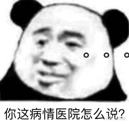  每天更新表情包