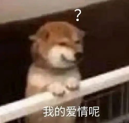 我永远不会忘记5月1号这天段子