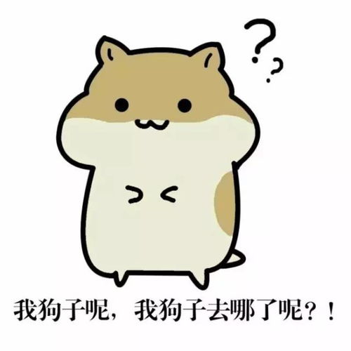  贡献一份超级可爱的表情包