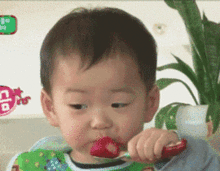 孩子不爱吃饭怎么办做好4件事,轻松养出小吃货  孩子不爱吃饭怎么办做好4件事,轻松养出小吃货