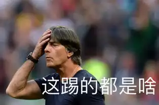  德国奉献了经典比赛,勒夫贡献了表情包