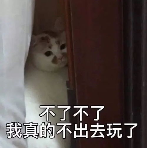  热门表情包图片我是你的小宝贝,现在你的小宝贝饿了