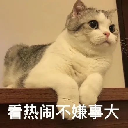  表情包让我瞧瞧,看热闹不嫌事大