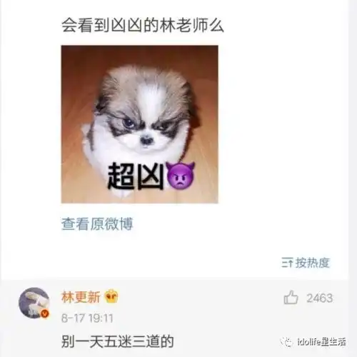  九亿少女的沙雕快乐,林更新一个人就能承包了哈哈哈