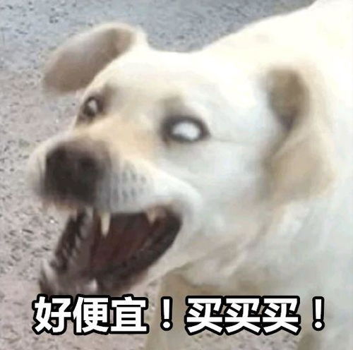  小米全屋智能家居生态链中有什么值得推荐的产品,小米除了手机这些也值得推荐购买