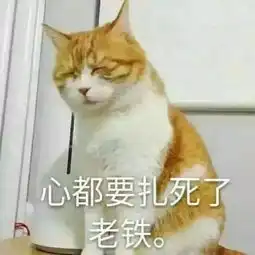 表情包分类吴宣仪