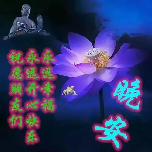 朋友圈晚安问候祝福图片带字群发晚上好问候动态表情图片  朋友圈晚安问候祝福图片带字群发晚上好问候动态表情图片