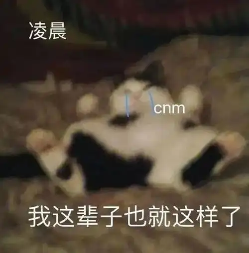  年下小奶狗究竟有多上头啊啊这撒娇谁扛得住...