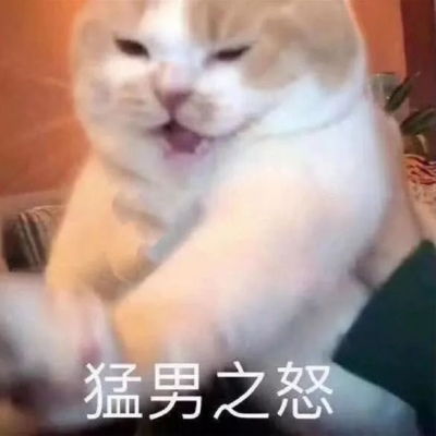  微信猫咪头像可爱大全带字等一个你等一个爱情