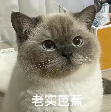  牙痛痛痛之后才知道洗牙的重要性