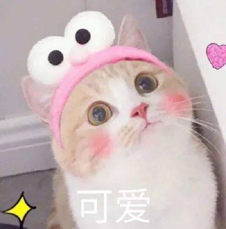  明确了全国免费这些事你一定得知道