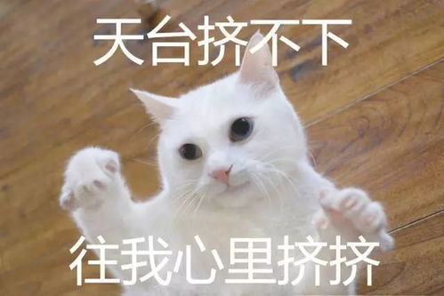  我是小编,世界杯小组赛结束了,我还好,不是很慌
