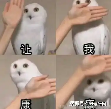  计算机夏令营没有机考的学校,机会不用复试直接拟录取,高校报名已开始...