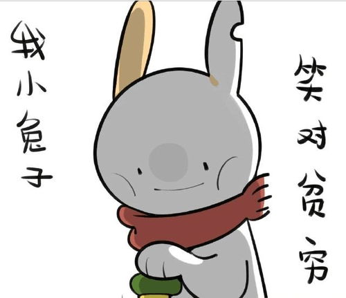  兔兔表情包