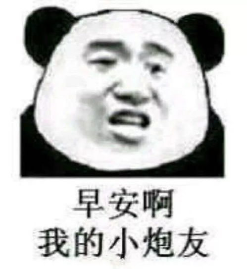 小坏蛋表情包笨蛋