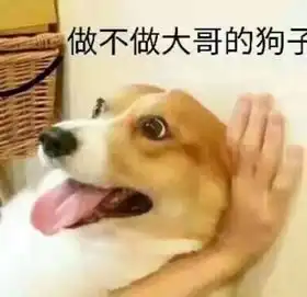  文件包含