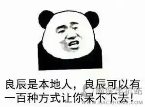  叶良辰是为什么这么火叶良辰手机qq表情包下载