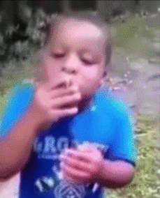  搞笑gif遇到一只一心想碰瓷的汪星人怎么办